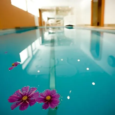 Hotel Minglers Sportalm - Gourmet- Und Genießerhotel 4*