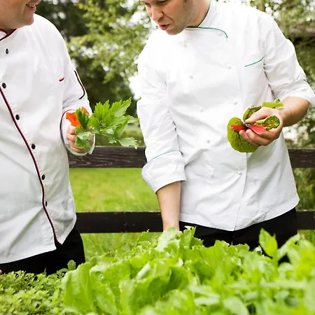 Minglers Sportalm - Gourmet- Und Geniesserhotel Hotel Kirchberg en Tyrol